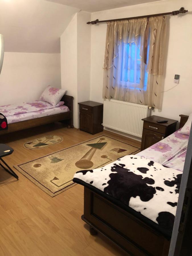 Pensiunea Morosanu Borşa 外观 照片