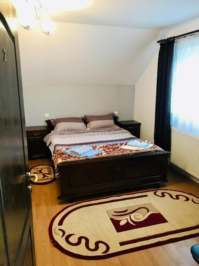 Pensiunea Morosanu Borşa 外观 照片